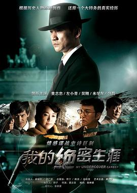我的绝密生涯 (2014)